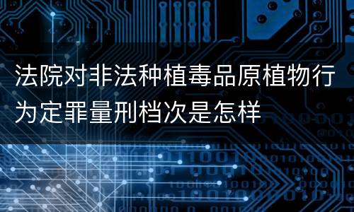 法院对非法种植毒品原植物行为定罪量刑档次是怎样