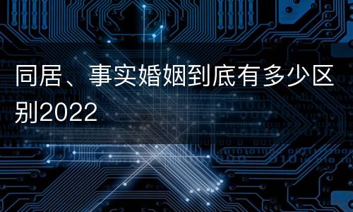 同居、事实婚姻到底有多少区别2022