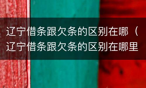 辽宁借条跟欠条的区别在哪（辽宁借条跟欠条的区别在哪里）