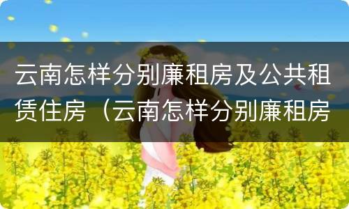 云南怎样分别廉租房及公共租赁住房（云南怎样分别廉租房及公共租赁住房呢）