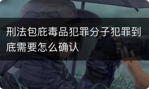 刑法包庇毒品犯罪分子犯罪到底需要怎么确认