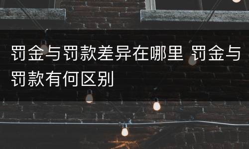 罚金与罚款差异在哪里 罚金与罚款有何区别