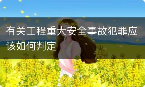 有关工程重大安全事故犯罪应该如何判定