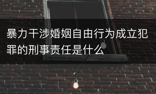 暴力干涉婚姻自由行为成立犯罪的刑事责任是什么
