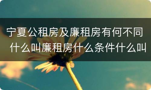 宁夏公租房及廉租房有何不同 什么叫廉租房什么条件什么叫公租房
