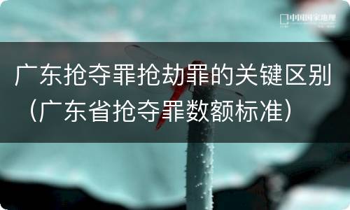 广东抢夺罪抢劫罪的关键区别（广东省抢夺罪数额标准）