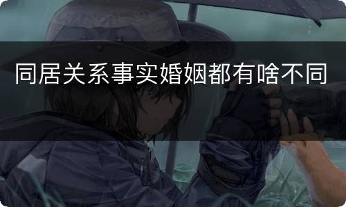 同居关系事实婚姻都有啥不同