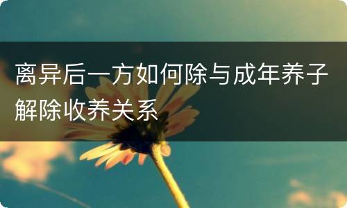 离异后一方如何除与成年养子解除收养关系