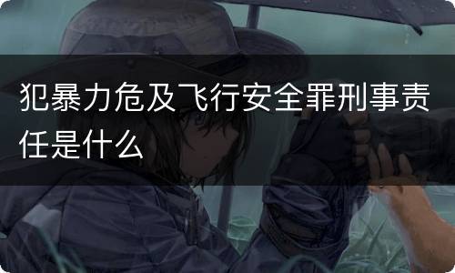 犯暴力危及飞行安全罪刑事责任是什么