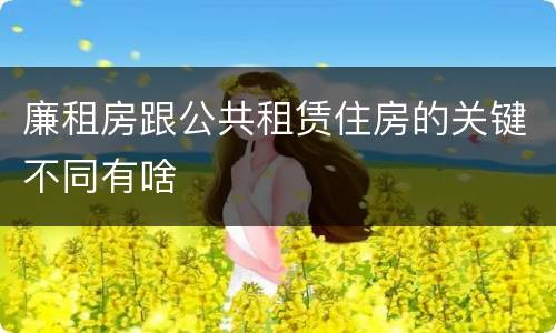 廉租房跟公共租赁住房的关键不同有啥