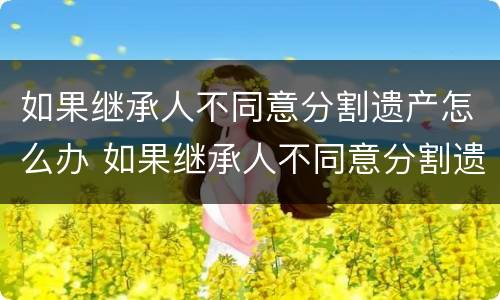 如果继承人不同意分割遗产怎么办 如果继承人不同意分割遗产怎么办手续