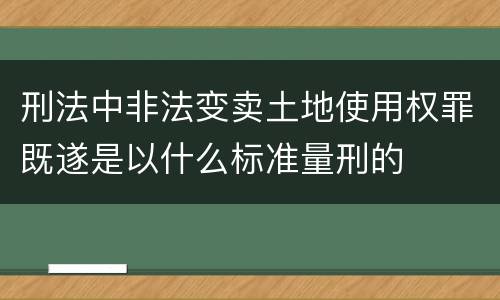 刑法中非法变卖土地使用权罪既遂是以什么标准量刑的