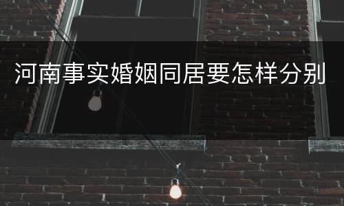 河南事实婚姻同居要怎样分别