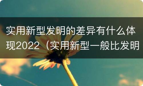 实用新型发明的差异有什么体现2022（实用新型一般比发明的创造性要高一些）