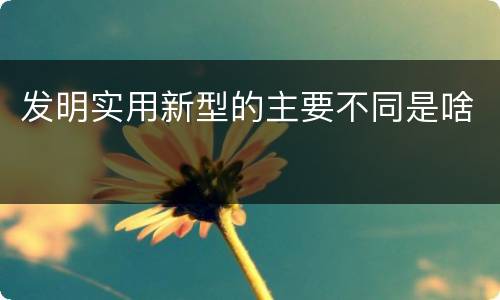 发明实用新型的主要不同是啥