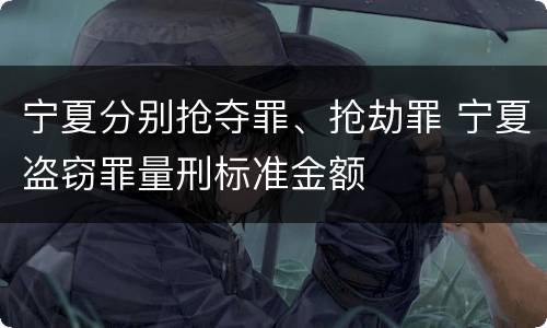 宁夏分别抢夺罪、抢劫罪 宁夏盗窃罪量刑标准金额