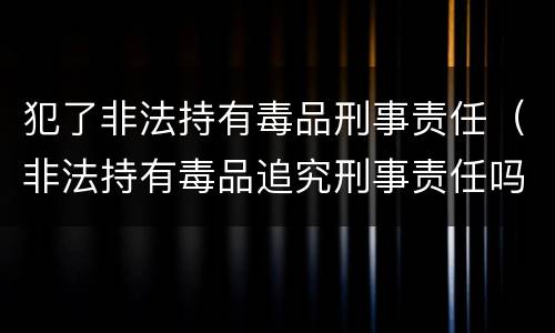 犯了非法持有毒品刑事责任（非法持有毒品追究刑事责任吗）
