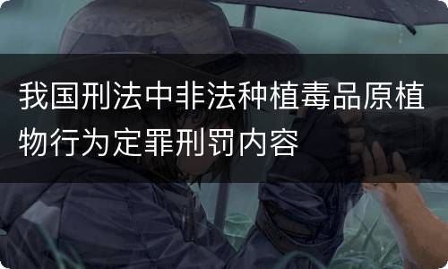 我国刑法中非法种植毒品原植物行为定罪刑罚内容