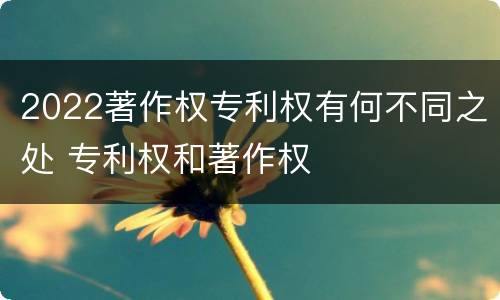2022著作权专利权有何不同之处 专利权和著作权