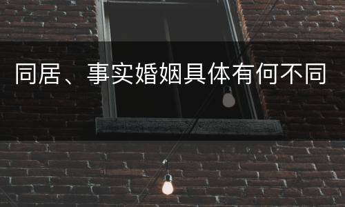 同居、事实婚姻具体有何不同