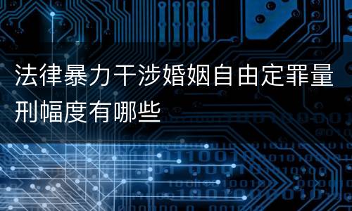 法律暴力干涉婚姻自由定罪量刑幅度有哪些