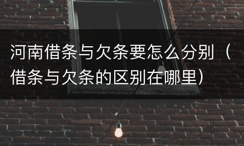 河南借条与欠条要怎么分别（借条与欠条的区别在哪里）