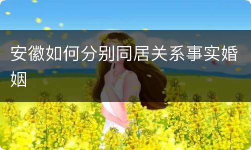 安徽如何分别同居关系事实婚姻