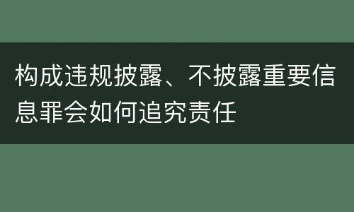 构成违规披露、不披露重要信息罪会如何追究责任