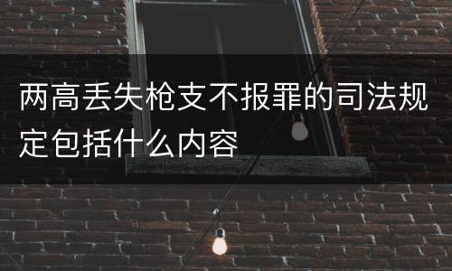 两高丢失枪支不报罪的司法规定包括什么内容