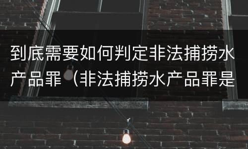 到底需要如何判定非法捕捞水产品罪（非法捕捞水产品罪是行为犯吗）