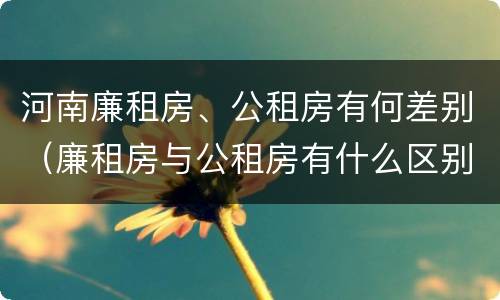 河南廉租房、公租房有何差别（廉租房与公租房有什么区别）