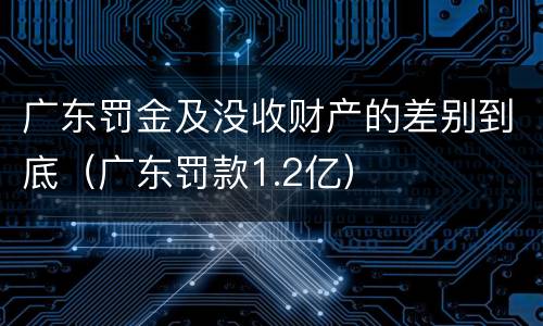 广东罚金及没收财产的差别到底（广东罚款1.2亿）