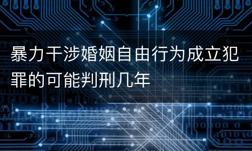 暴力干涉婚姻自由行为成立犯罪的可能判刑几年