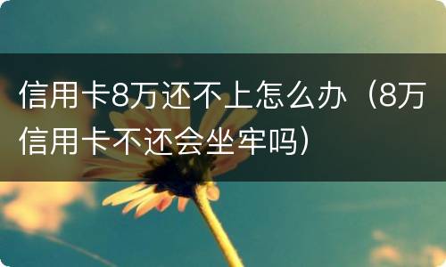 信用卡8万还不上怎么办（8万信用卡不还会坐牢吗）