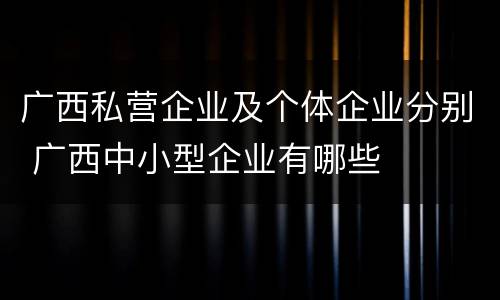 广西私营企业及个体企业分别 广西中小型企业有哪些