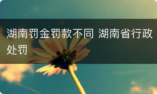 湖南罚金罚款不同 湖南省行政处罚