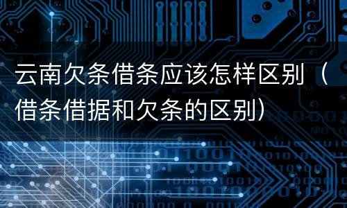 云南欠条借条应该怎样区别（借条借据和欠条的区别）
