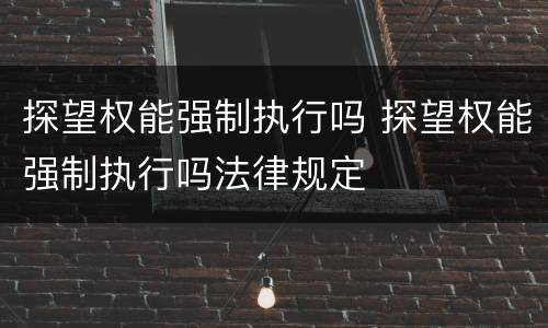 探望权能强制执行吗 探望权能强制执行吗法律规定