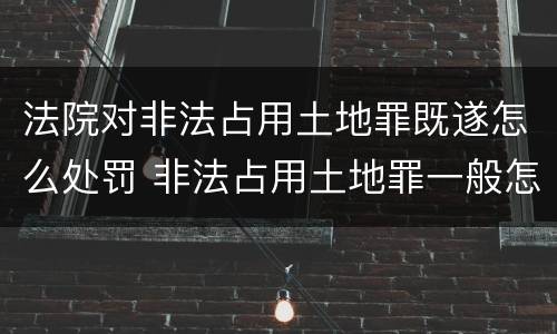 法院对非法占用土地罪既遂怎么处罚 非法占用土地罪一般怎么判决