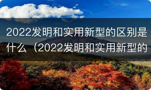 2022发明和实用新型的区别是什么（2022发明和实用新型的区别是什么呢）