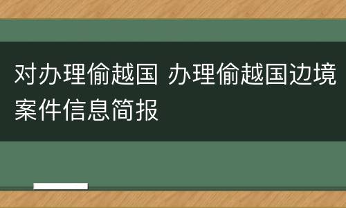 对办理偷越国 办理偷越国边境案件信息简报