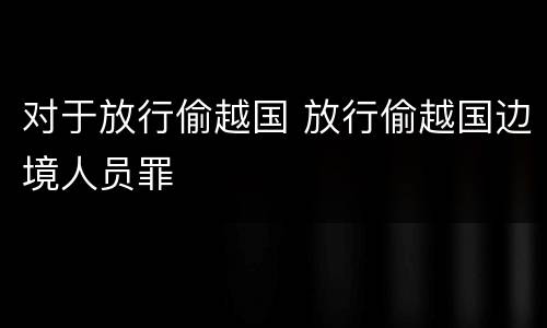 对于放行偷越国 放行偷越国边境人员罪