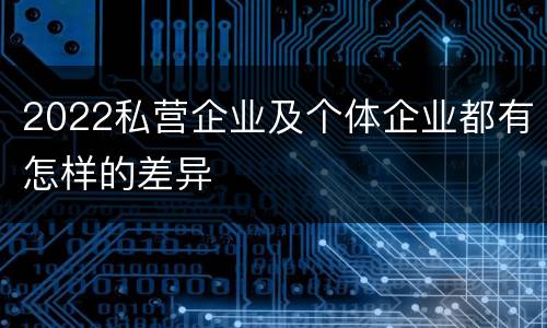 2022私营企业及个体企业都有怎样的差异