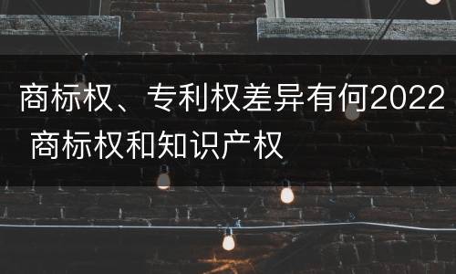 商标权、专利权差异有何2022 商标权和知识产权