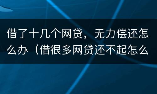 借了十几个网贷，无力偿还怎么办（借很多网贷还不起怎么办）