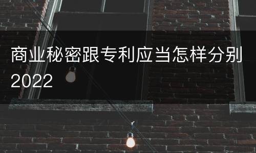 商业秘密跟专利应当怎样分别2022