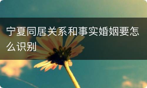 宁夏同居关系和事实婚姻要怎么识别