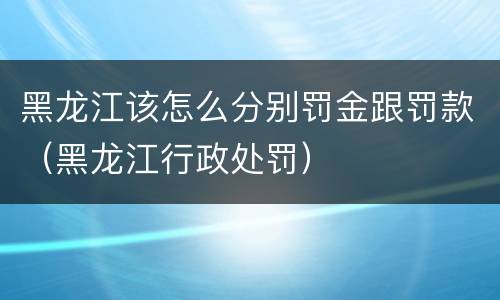 黑龙江该怎么分别罚金跟罚款（黑龙江行政处罚）
