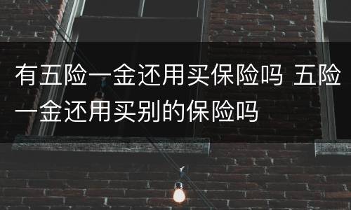 有五险一金还用买保险吗 五险一金还用买别的保险吗