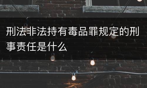 刑法非法持有毒品罪规定的刑事责任是什么